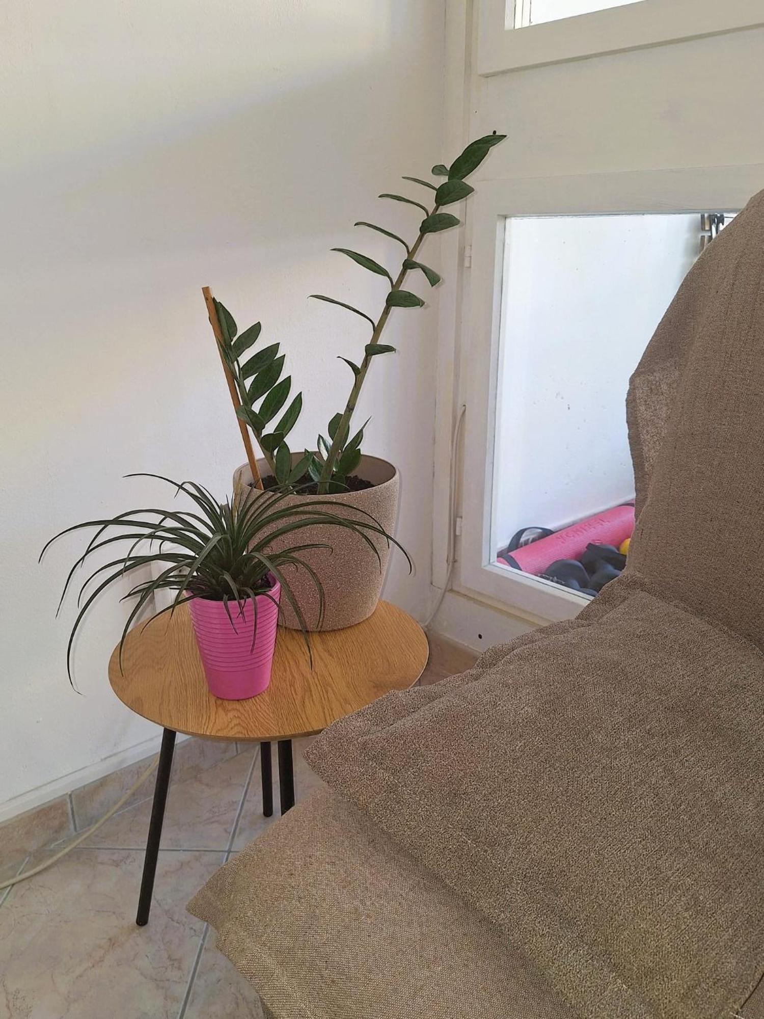 Apartment Mangus 斯普利特 外观 照片